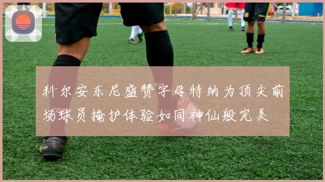 科尔安东尼盛赞字母特纳为顶尖前场球员掩护体验如同神仙般完美
